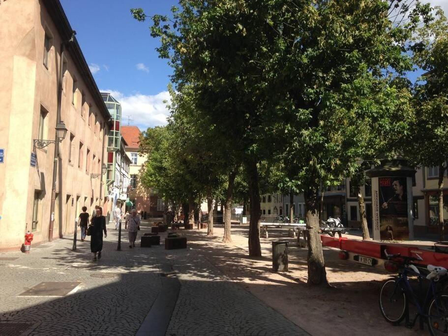 Petite Austerlitz Apartment Strasbourg Bagian luar foto
